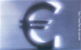 The Euro wallpaper