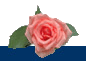 Fleur-de-Coin Fleur-de-Coin