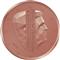 Photo of Netherlands - 1 cent 2016 (King Willem-Alexander)