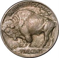 Buffalo Nickel - Obverse