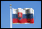 Picture of the Slovak flag
